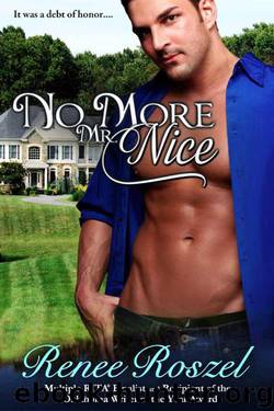 No More Mr. Nice by Roszel Renee