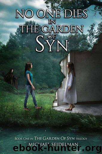 No One Dies in the Garden of Syn by Michael Seidelman