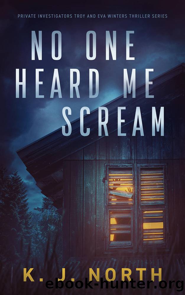 No One Heard Me Scream by K. J. North