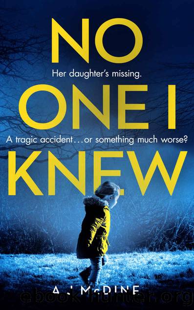 No One I Knew by A J McDine