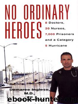 No Ordinary Heroes by Demaree Inglese