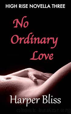 No Ordinary Love (High Rise Novella Three) by Bliss Harper