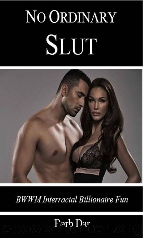 No Ordinary Slut: BWWM Interracial Billionaire Fun by Barb Dar