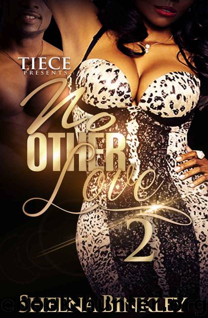 No Other Love 2 by Sheena Binkley