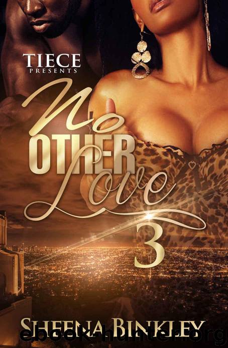 No Other Love 3 by Sheena Binkley