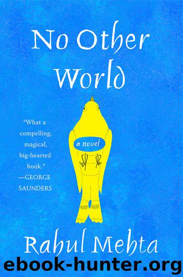 No Other World by Rahul Mehta