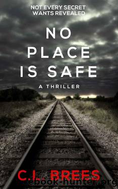 No Place Is Safe by C L Brees