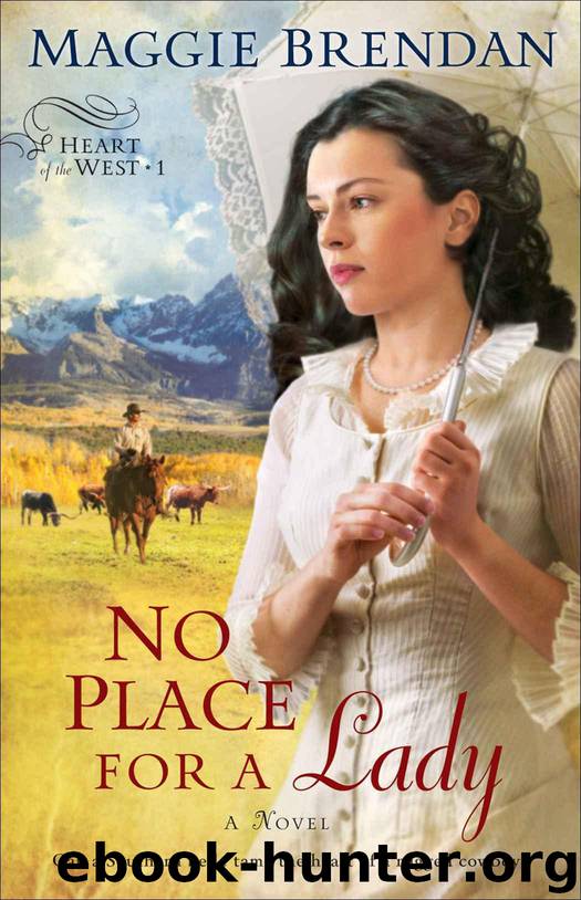 No Place for a Lady (Heart of the West Book #1): A Novel by Brendan Maggie