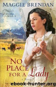 No Place for a Lady by Maggie Brendan