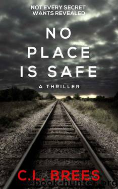 No Place is Safe by C. L. Brees