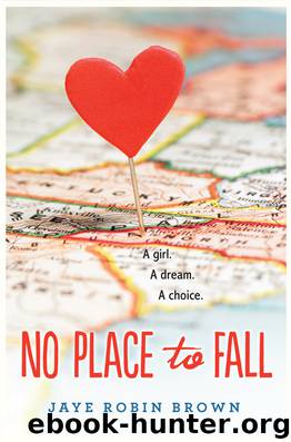 No Place to Fall by Jaye Robin Brown