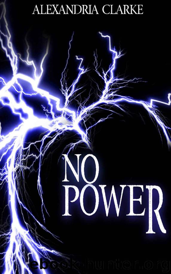 No Power: EMP Survival In A Powerless World by Alexandria Clarke