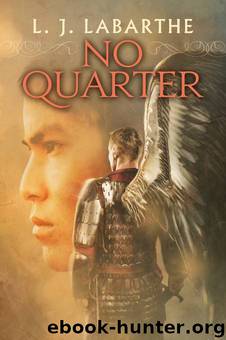 No Quarter by L.J. LaBarthe