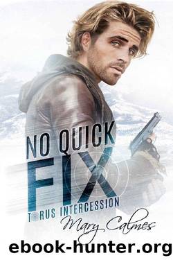 No Quick Fix: Torus Intercession Book One by Mary Calmes