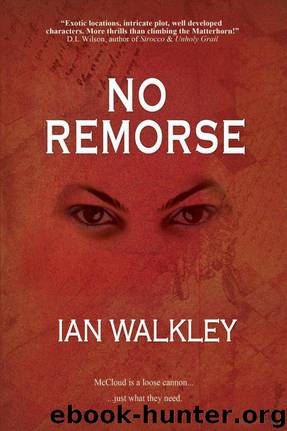 No Remorse by Ian Walkley