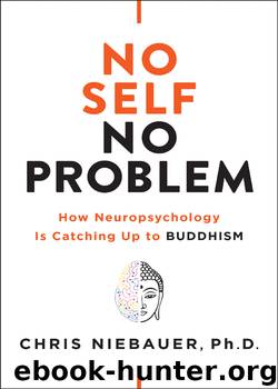 No Self, No Problem by Chris Niebauer