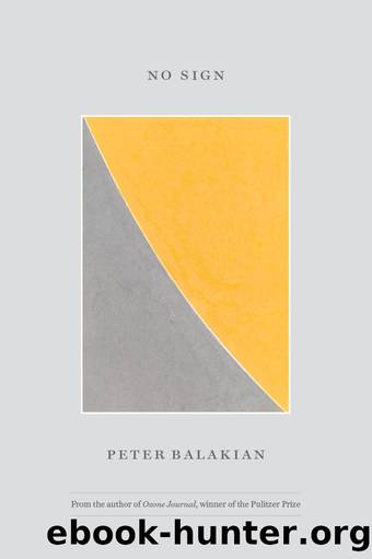 No Sign by Peter Balakian