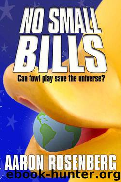 No Small Bills by Rosenberg Aaron