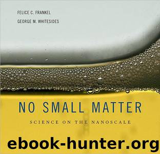 No Small Matter by Felice Frankel