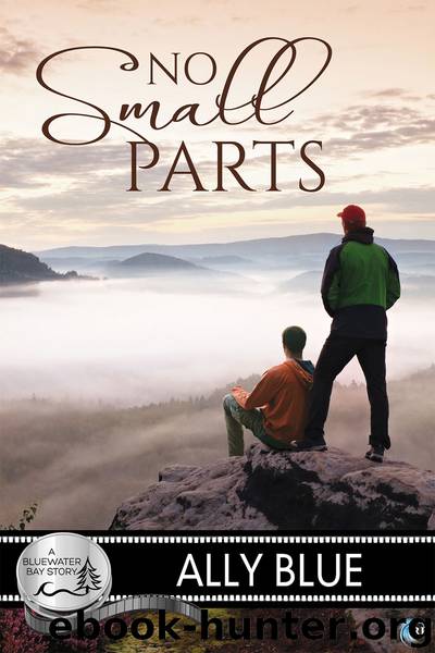 No Small Parts by Ally Blue