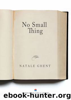 No Small Thing by Natale Ghent