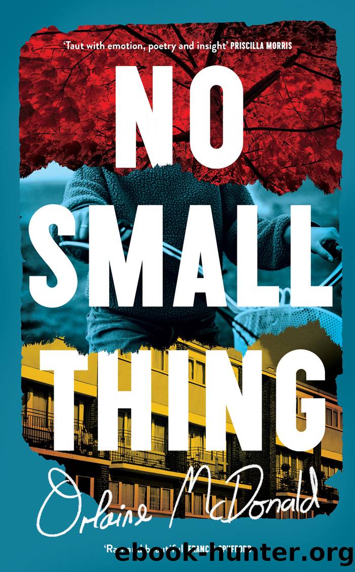 No Small Thing by Orlaine McDonald