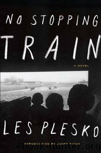 No Stopping Train by Les Plesko