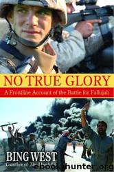 No True Glory by Bing West