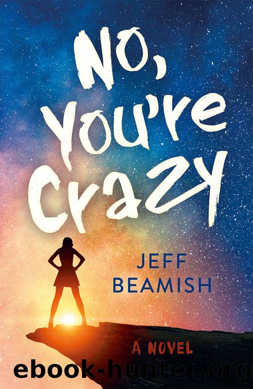 No, You're Crazy by Jeff Beamish