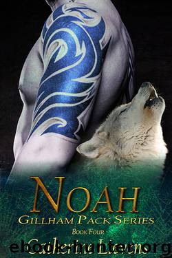 Noah by Catherine Lievens