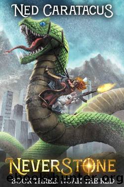 Noah the Red: A LitRPG Adventure (Neverstone Book 3) by Ned Caratacus