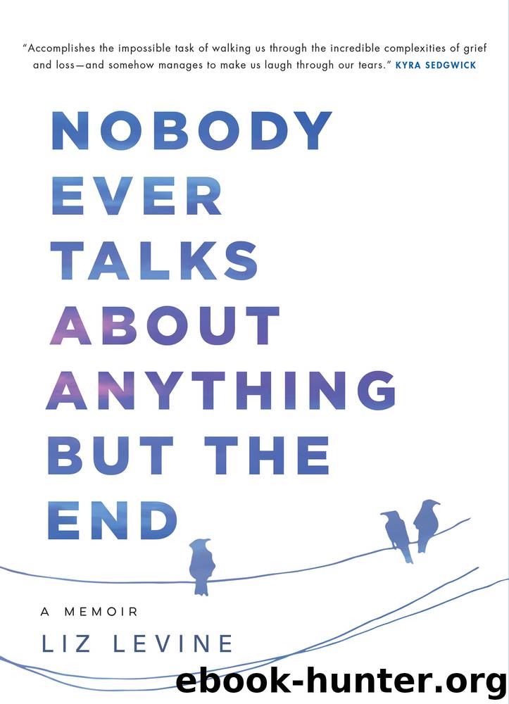 Nobody Ever Talks About Anything But the End by Liz Levine