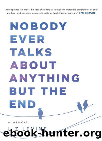 Nobody Ever Talks About Anything but the End: A Memoir by Liz Levine