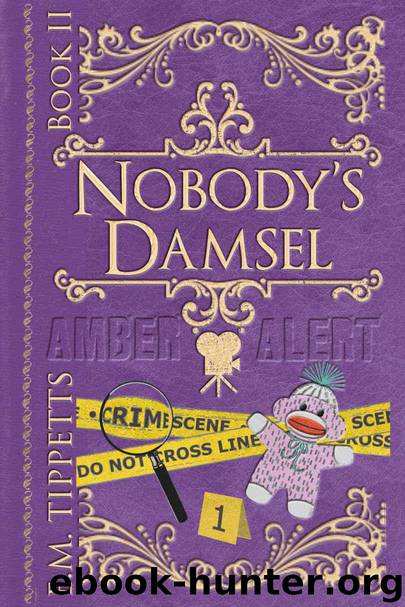Nobody's Damsel by E. M. Tippetts