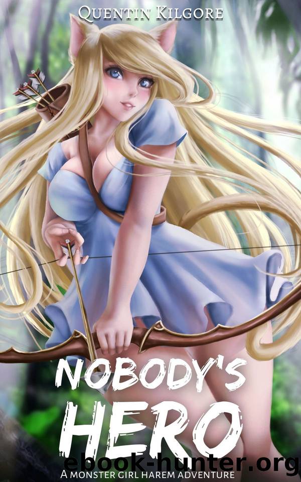 Nobody's Hero by Quentin Kilgore