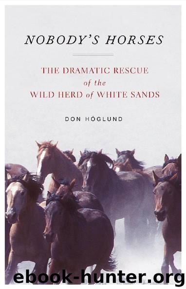 Nobody’s Horses by Don Höglund