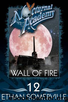 Nocturnal Academy 12: Wall of Fire by Somerville Ethan