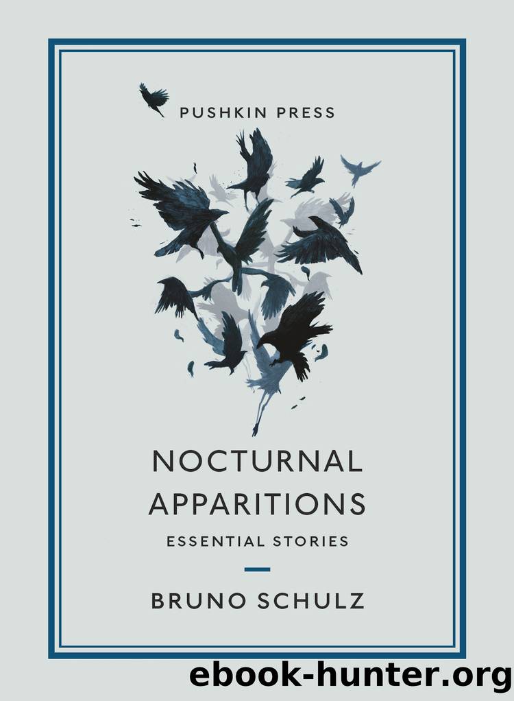 Nocturnal Apparitions by Bruno Schulz