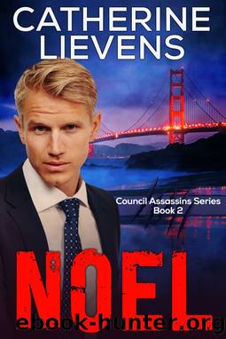 Noel by Catherine Lievens