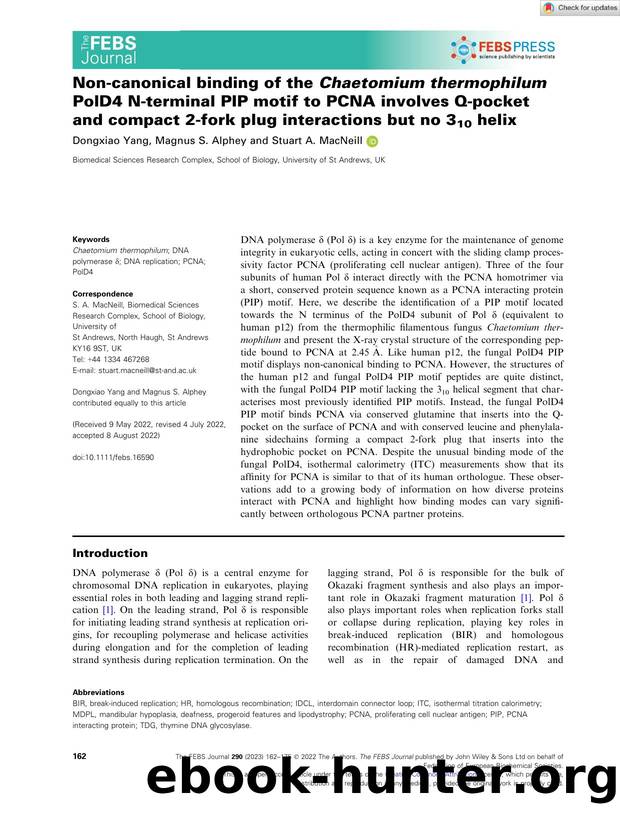 Nonâcanonical binding of the Chaetomium thermophilum PolD4 Nâterminal PIP motif to PCNA involves Qâpocket and compact 2âfork plug interactions but no 310 helix by Unknown