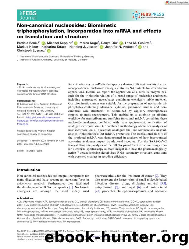 Nonâcanonical nucleosides: Biomimetic triphosphorylation, incorporation into mRNA and effects on translation and structure by Unknown