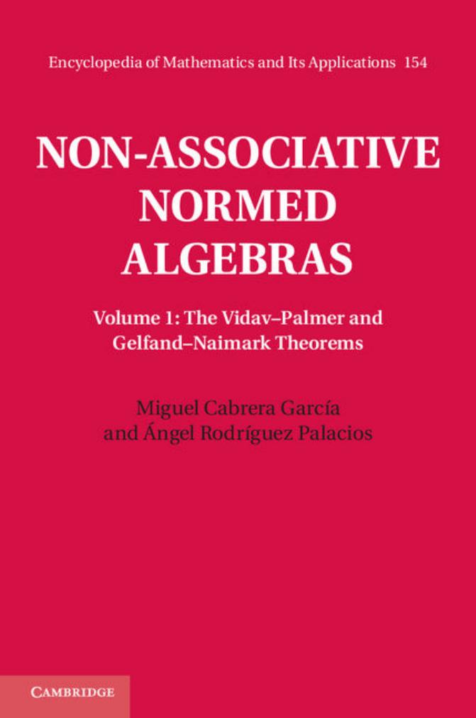 Non-Associative Normed Algebras: Volume 1, The Vidav-Palmer and Gelfand-Naimark Theorems by Miguel Cabrera García Ángel Rodríguez Palacios