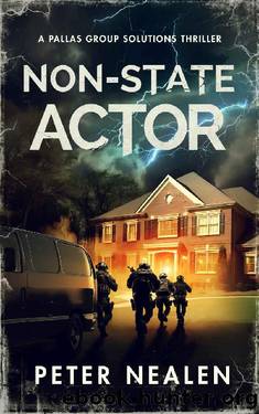 Non-State Actor: A Pallas Group Solutions Thriller (Brave New Disorder Book 5) by Peter Nealen