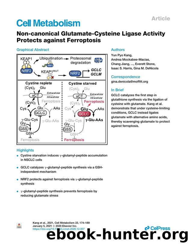 Non-canonical Glutamate-Cysteine Ligase Activity Protects against Ferroptosis by unknow