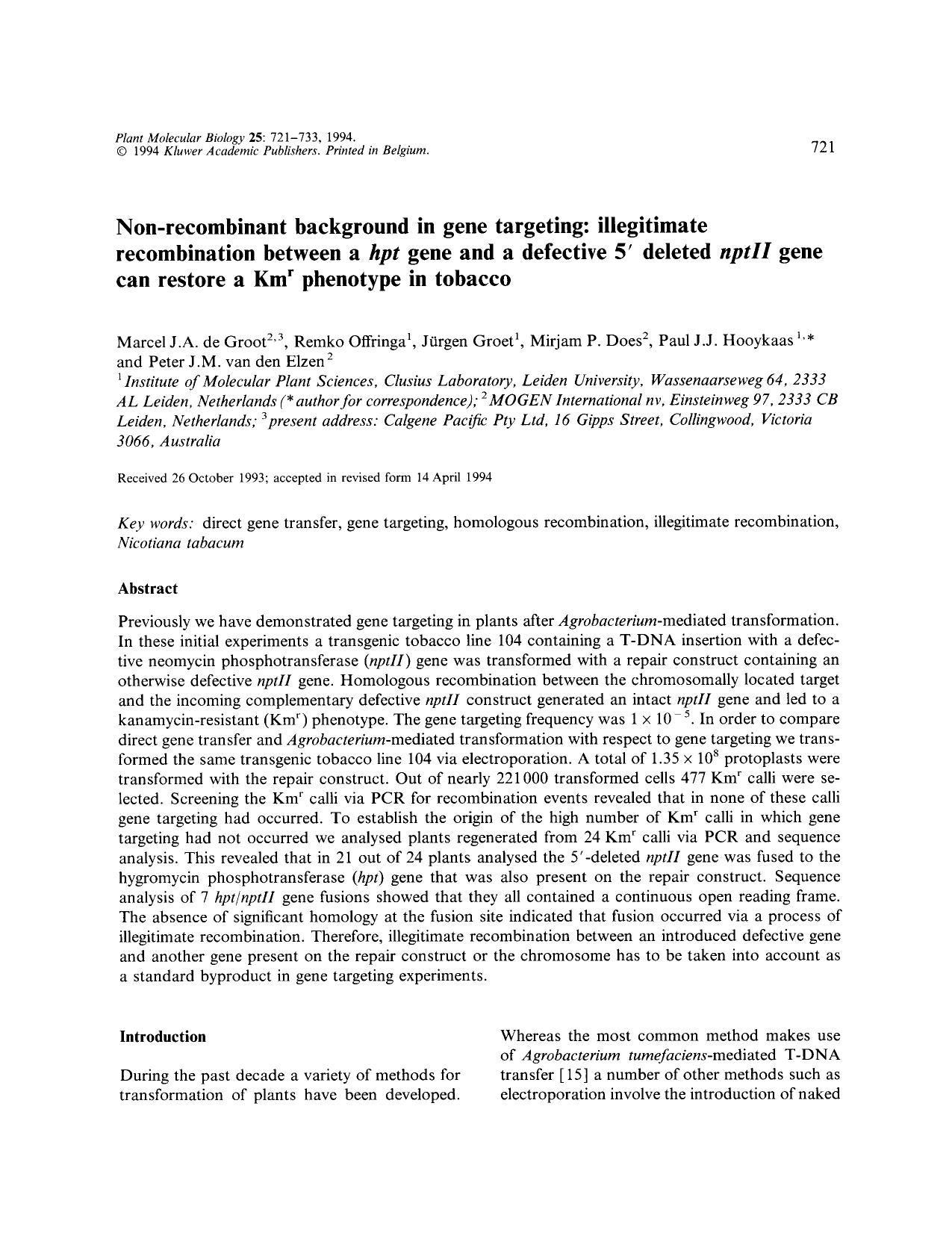Non-recombinant background in gene targeting: illegitimate recombination between a <Emphasis Type="Italic">hpt <Emphasis> gene and a defective 5&#x2032; deleted <Emphasis Type="I by Unknown