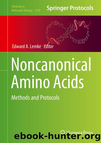 Noncanonical Amino Acids by Edward A. Lemke