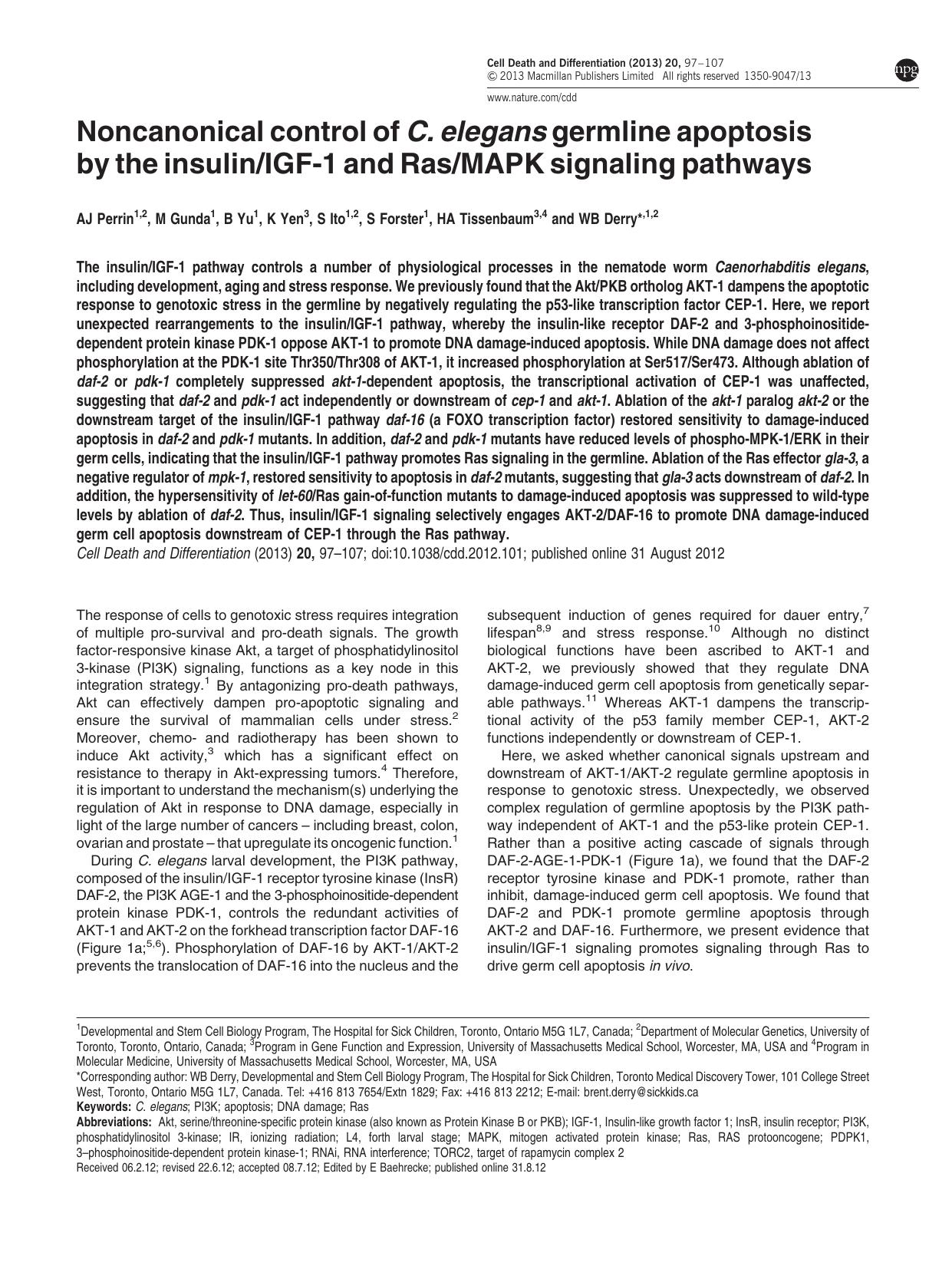 Noncanonical control of C. elegans germline apoptosis by the insulin&sol;IGF-1 and Ras&sol;MAPK signaling pathways by A J Perrin & M Gunda & B Yu & K Yen & S Ito & S Forster & H A Tissenbaum & W B Derry