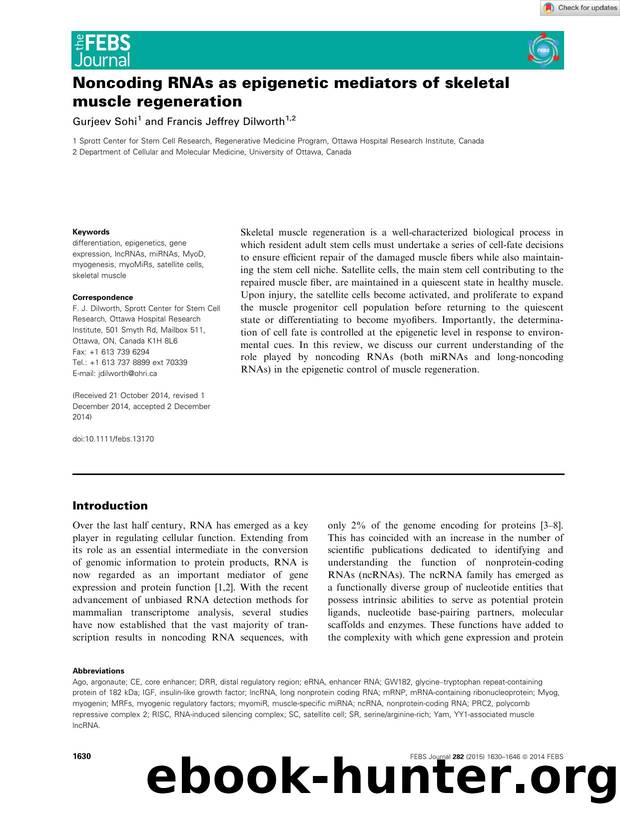 Noncoding RNAs as epigenetic mediators of skeletal muscle regeneration by Unknown