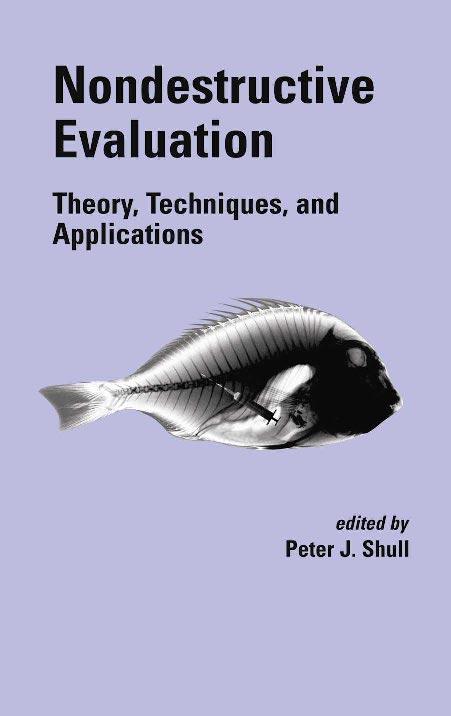 Nondestructive Evaluation: Theory, Techniques, and Applications by unknow