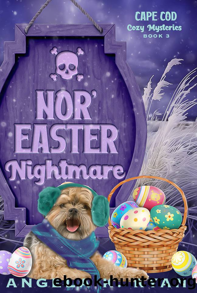 Nor'easter Nightmare (Cape Cod Cozy Mysteries Book 3) by Angela K. Ryan